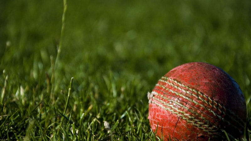 加拿大温哥华BC Place体育场巨大的可开合穹顶